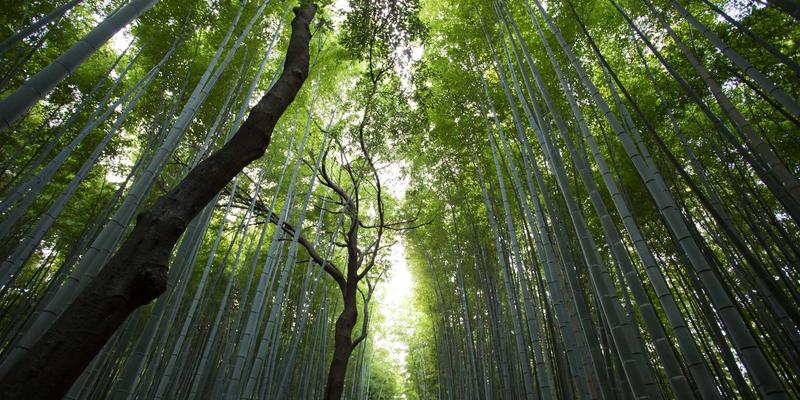 建筑外墙装饰材料耐久性与维护成本深度解析:如何用工程机械与设备实现全生命周期价值最大化