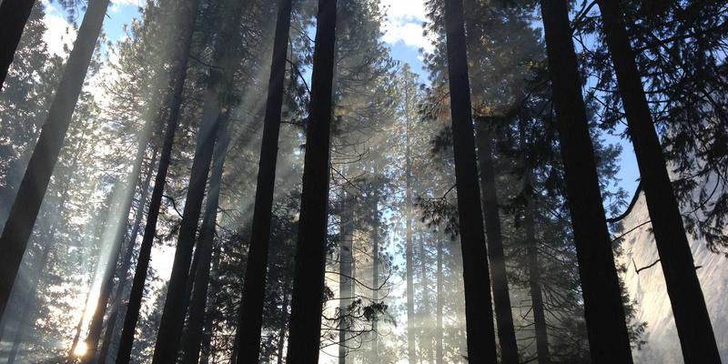 智能建筑材料革命：自修复混凝土如何重塑建筑设备与钢材的未来