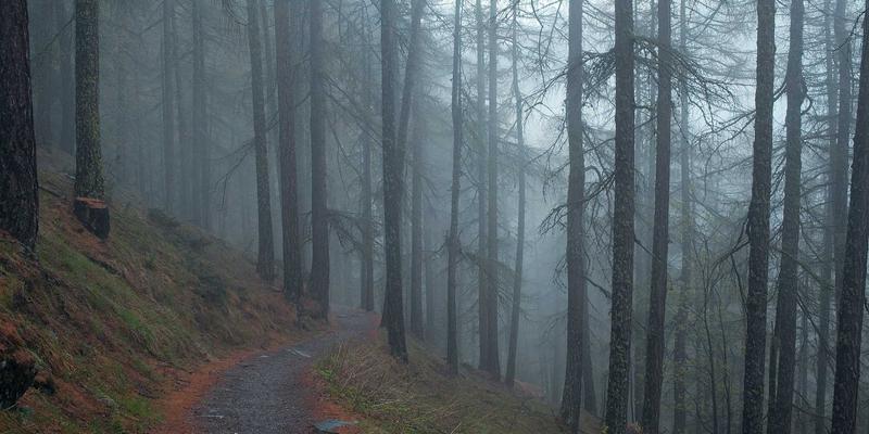 钢材与设备采购新指南：解读环保认证如何重塑绿色建筑未来