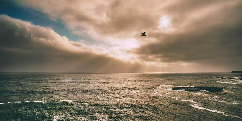 钢材水泥怎么选?铁建易购采购攻略,助你避开建材选购三大坑